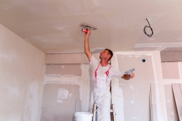 Best Painting for New Construction  in Princeton, WI